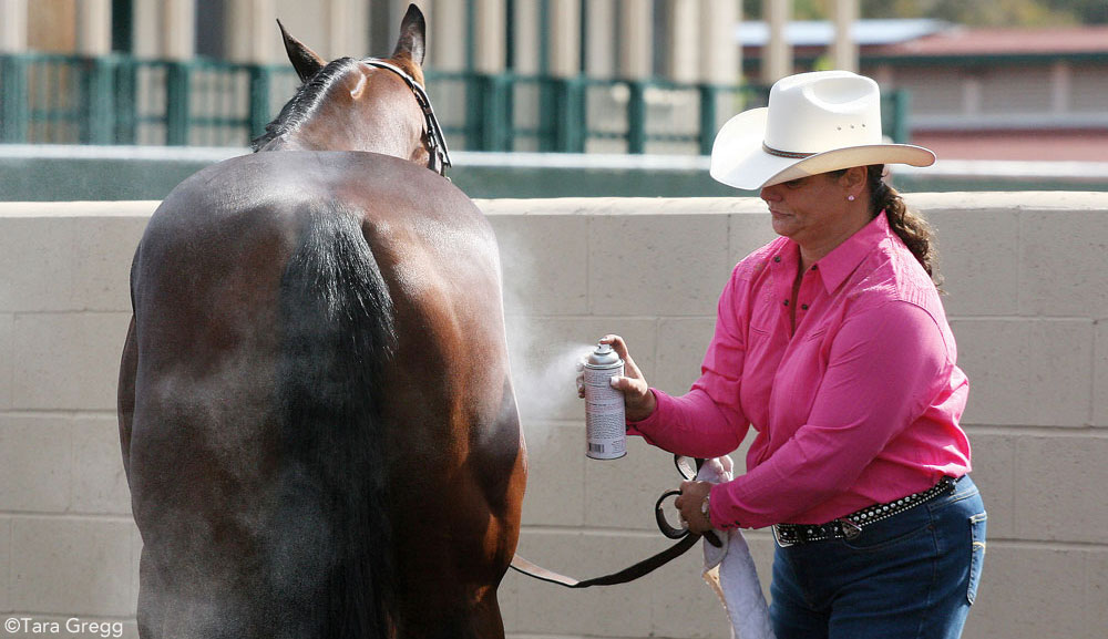 Show Grooming