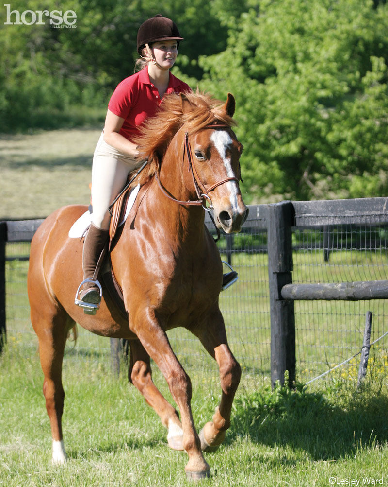 Conditioning at the canter