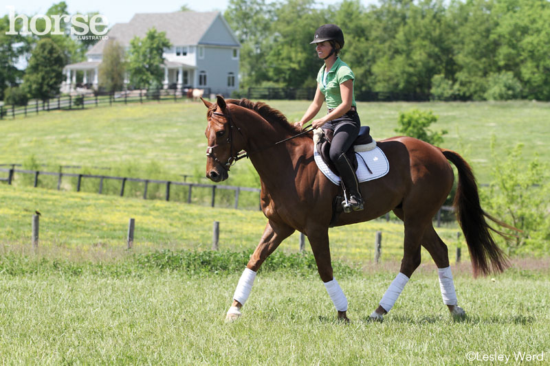 Conditioning at the trot