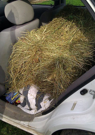 Hay Bale