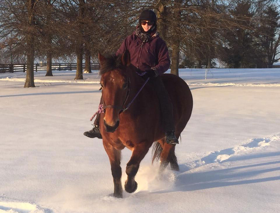 Winter Horses