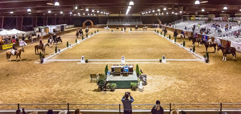 Cowboy Dressage Court