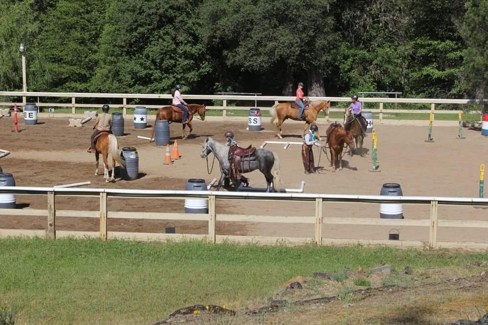 Cowboy Dressage Court