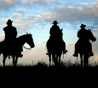 The 2009 Equine Affaire will be held at the Fairplex in Pomona, CA