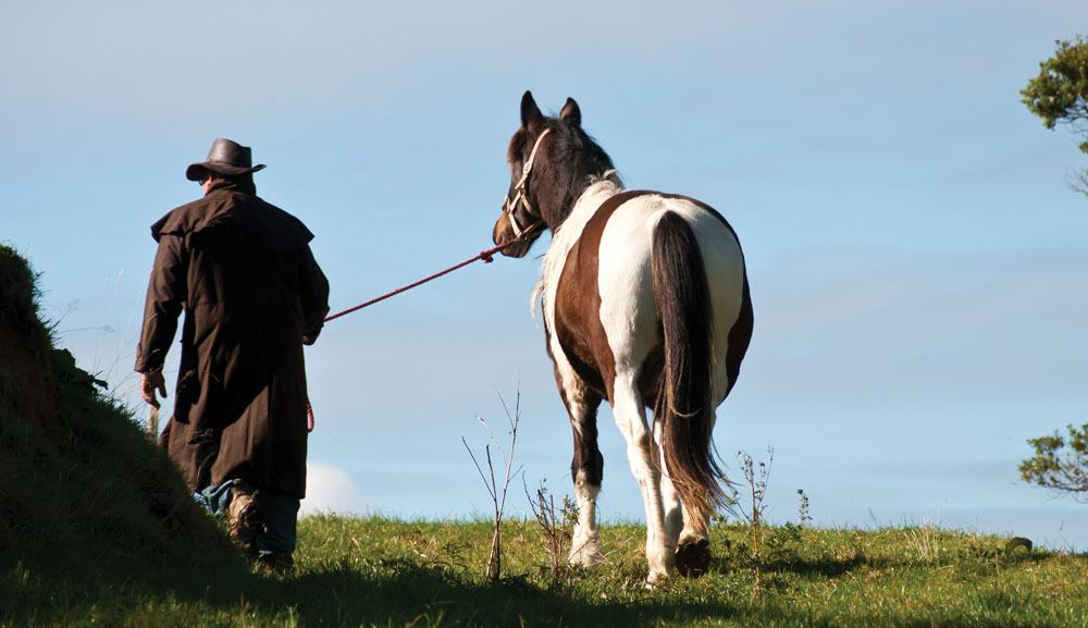 Cowboy Walking a Horse