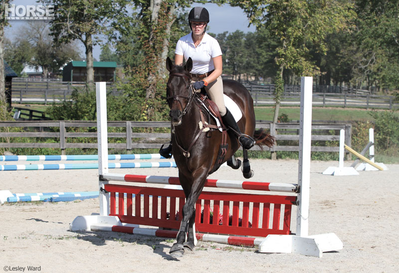 Schooling jumps