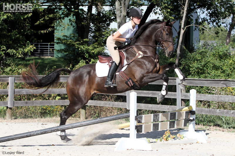 Schooling jumps