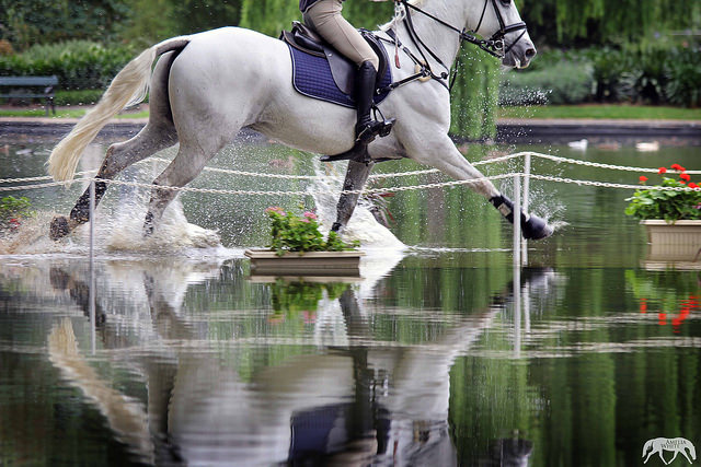 Cross-Country Water