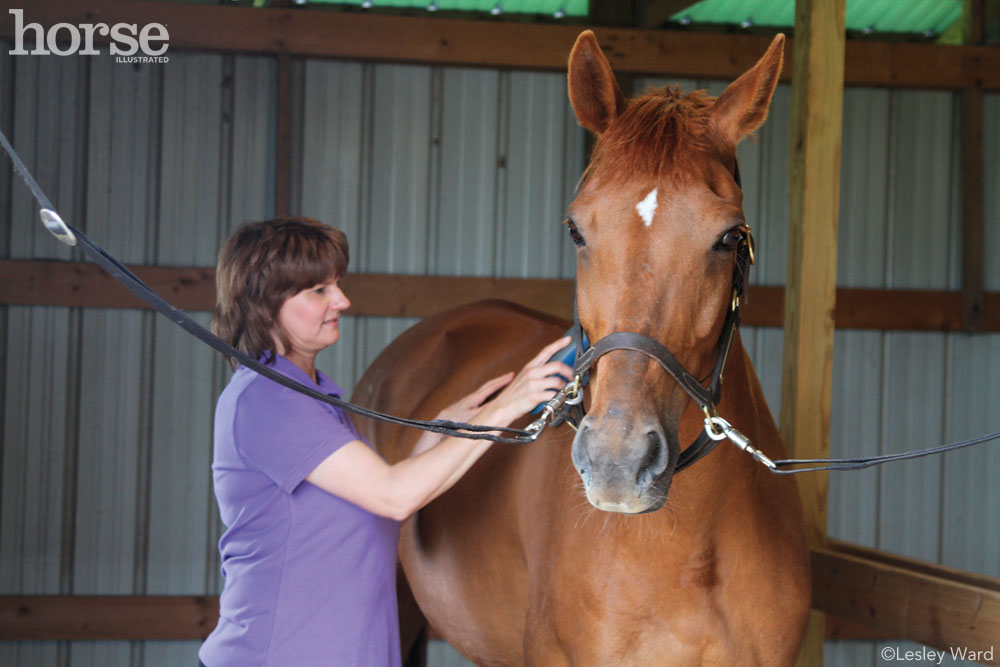 Boarding Barn