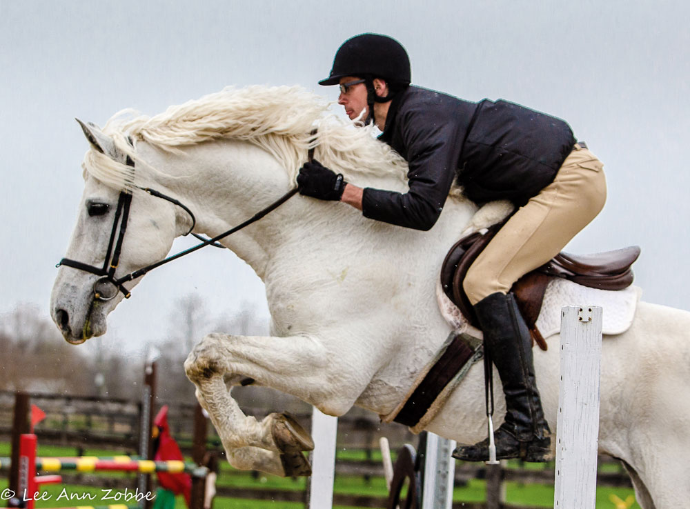 Curly Horse Eventing