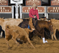 Cutting competitor at NCHA Futurity