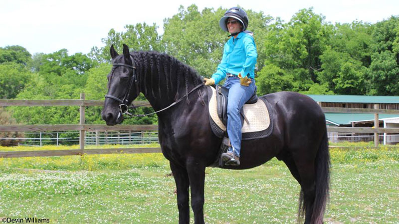 Dale with Friesian