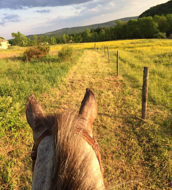 Horse Trails