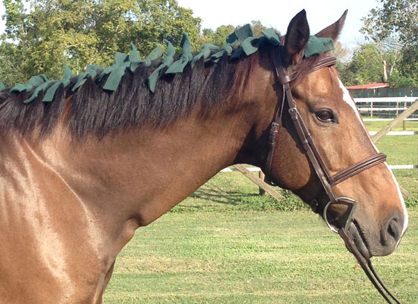 Decorated Mane