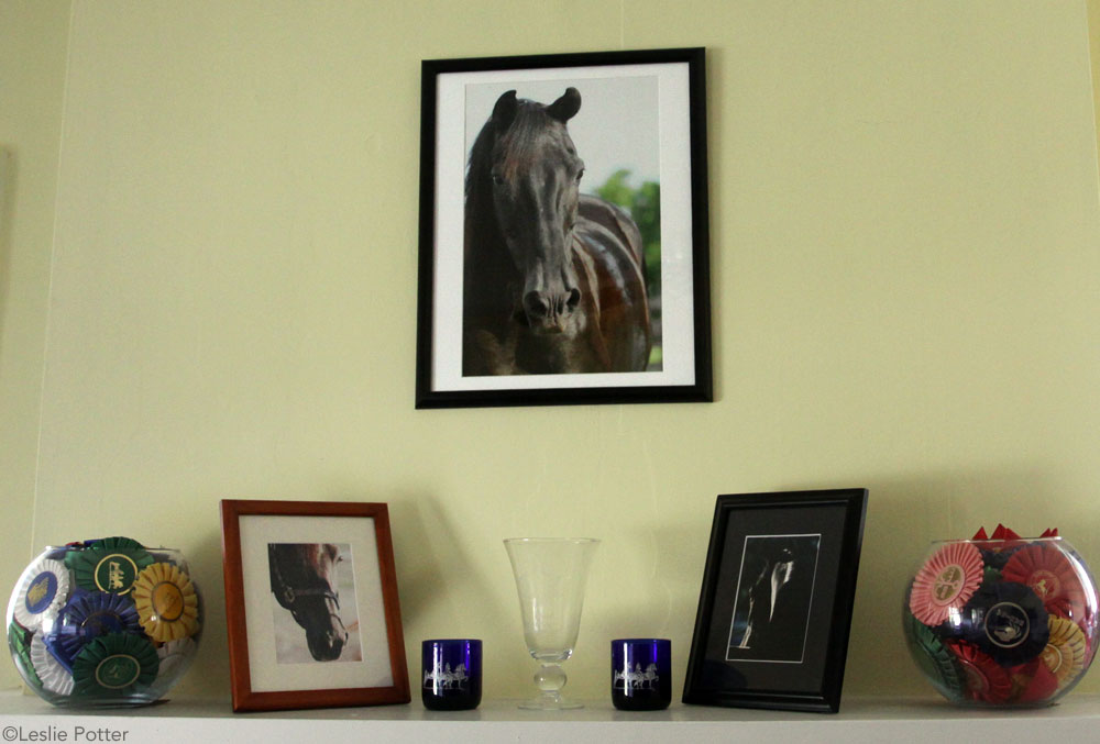 Decorating with Horse Photos