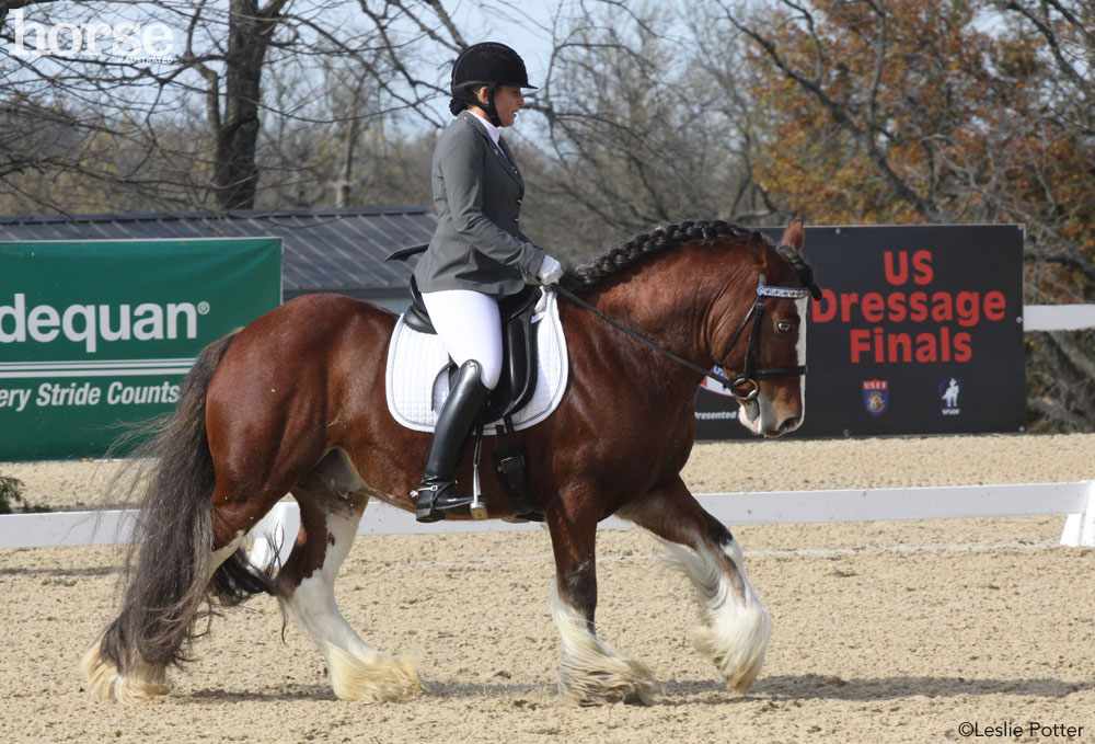 U.S. Dressage Finals