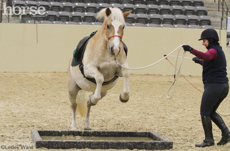 Kim and Bailey at the Mounted Police Desensitization Clinic