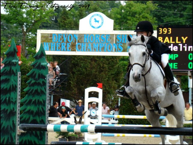 Devon Horse Show