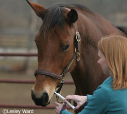 Deworming