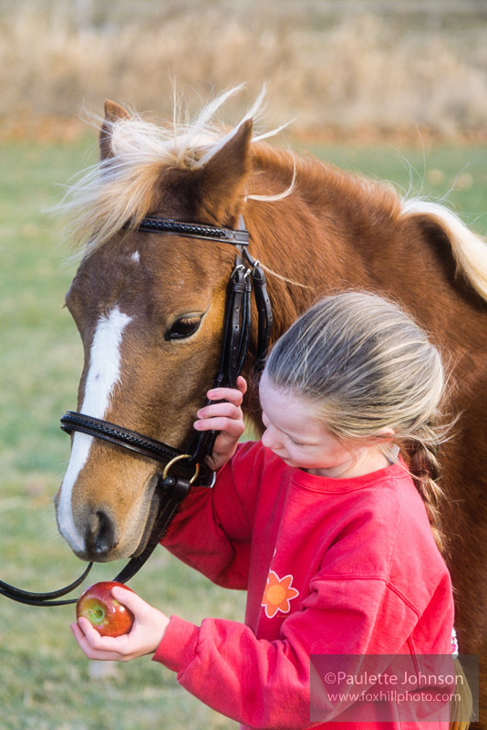 Pony and kid