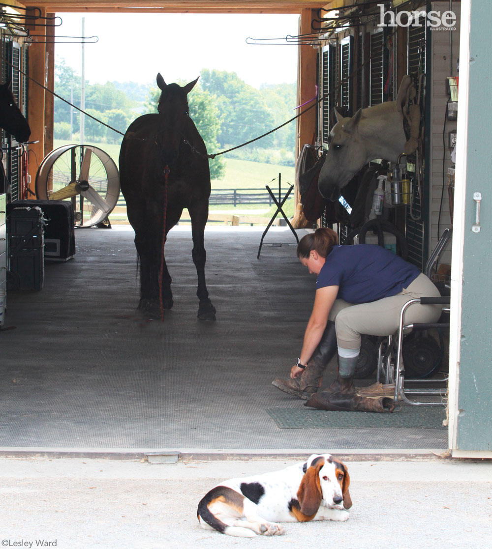 Boarding Barn