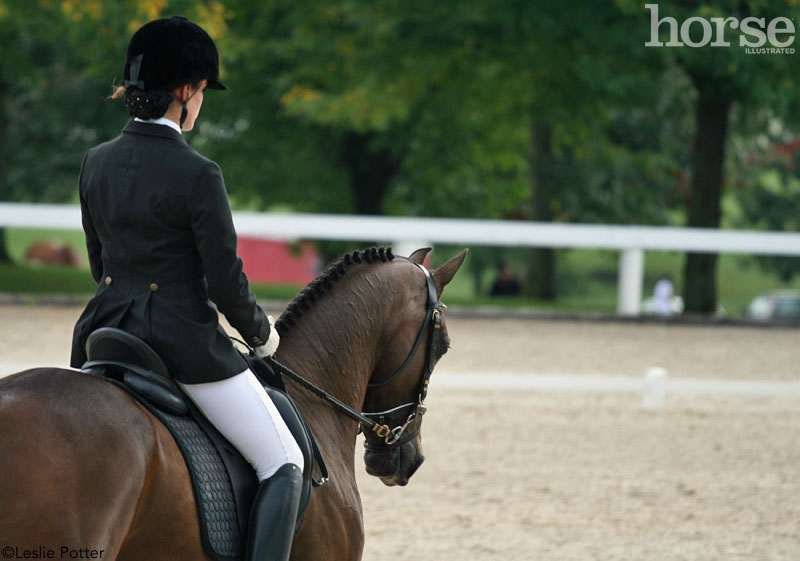 Dressage Arabian