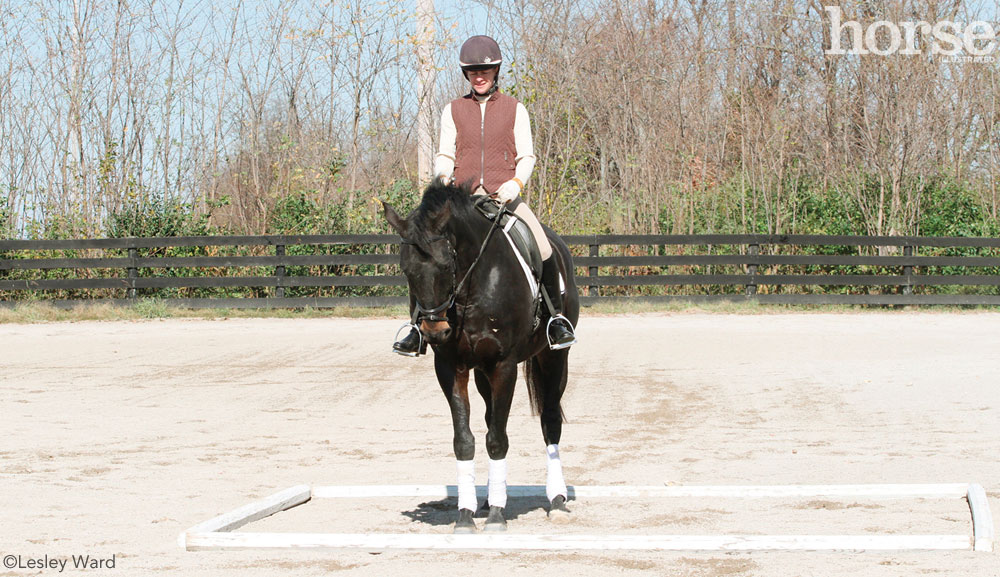 Dressage Box Exercise