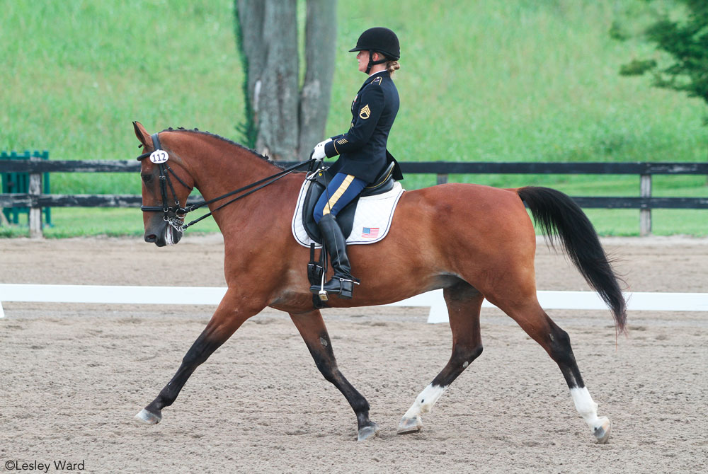 Dressage in Military Uniform