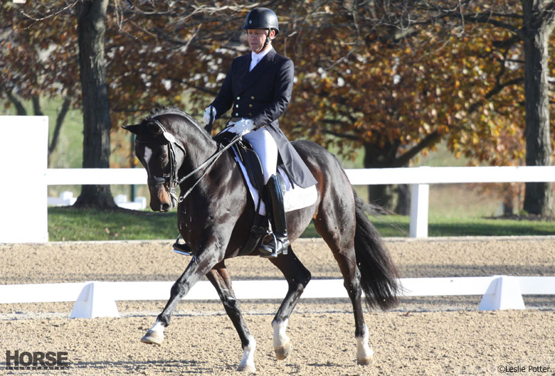 US Dressage Final