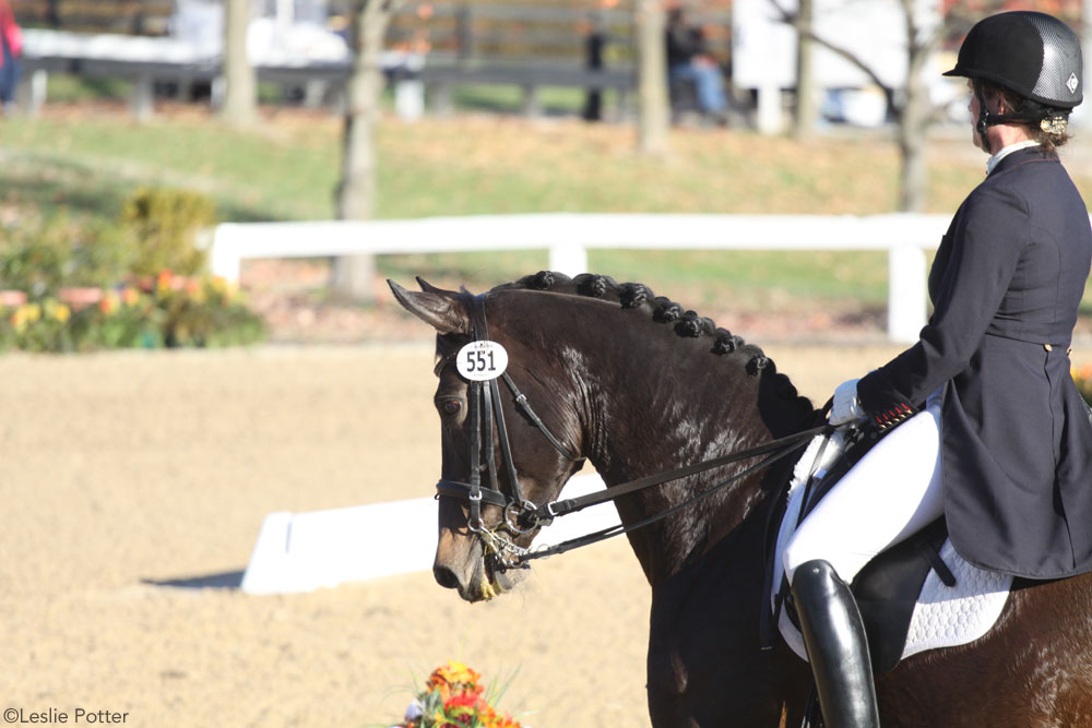 Dressage representing International Helmet Awareness Day