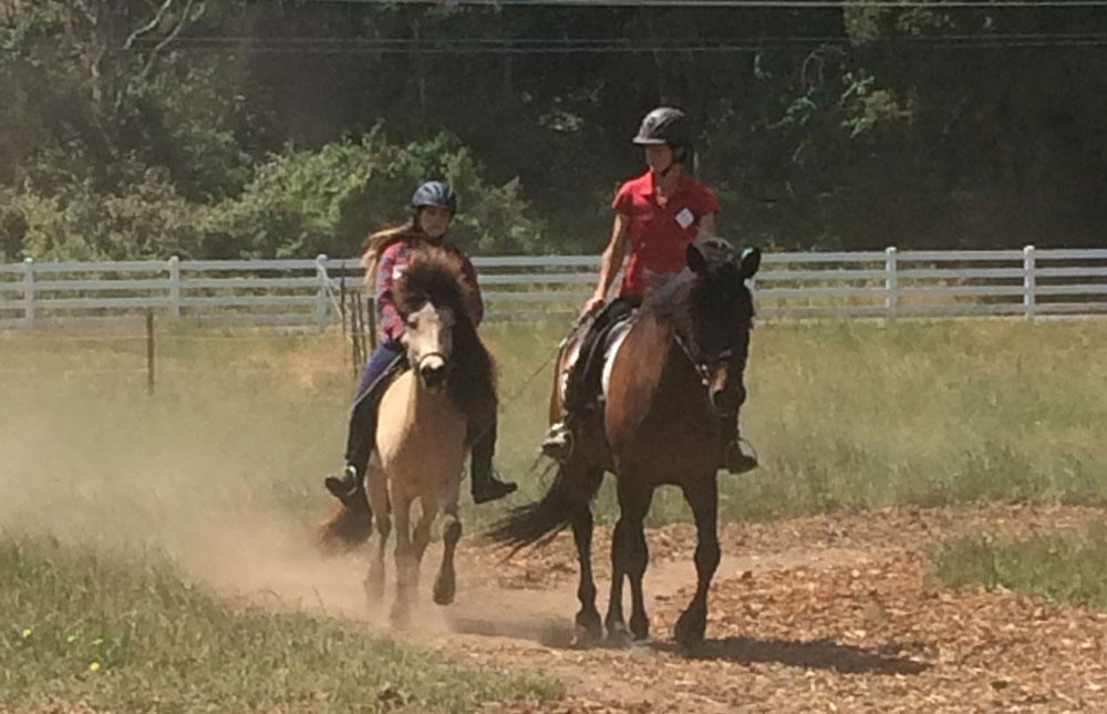 Trail Riding