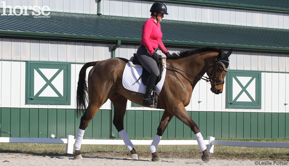 Schooling Dressage