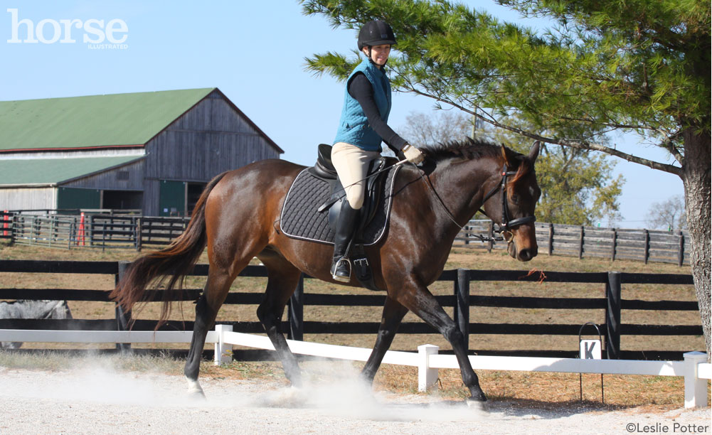 Dressage Trot