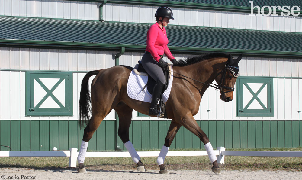 Dressage Schooling