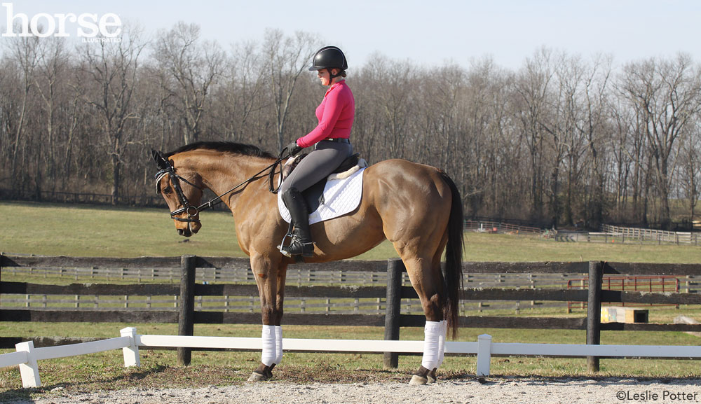 Dressage Square Turn