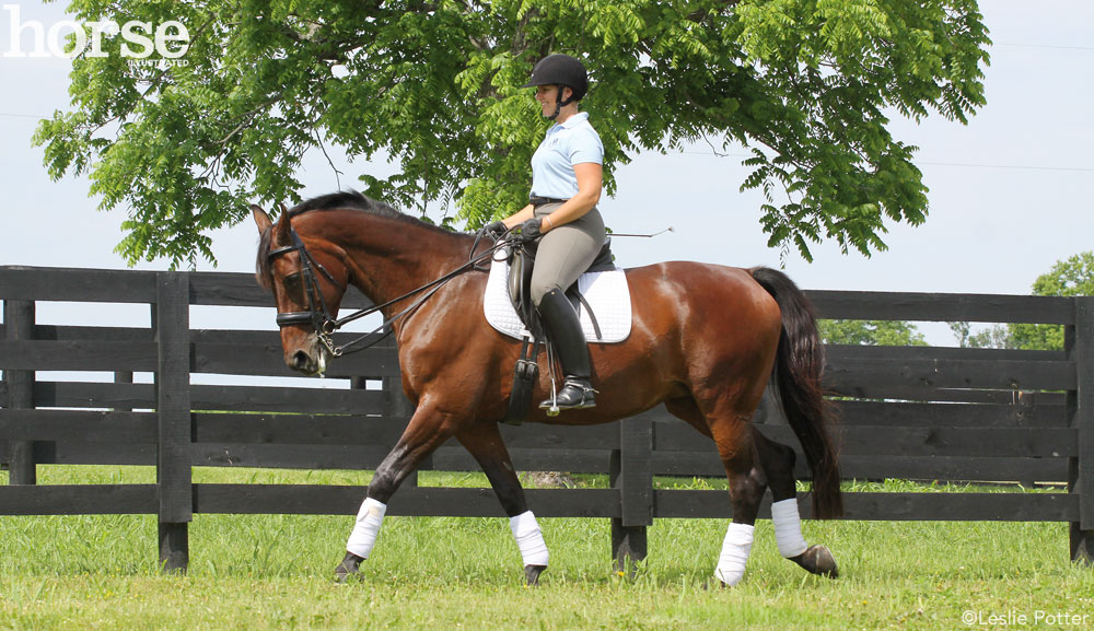 Dressage Rider Position