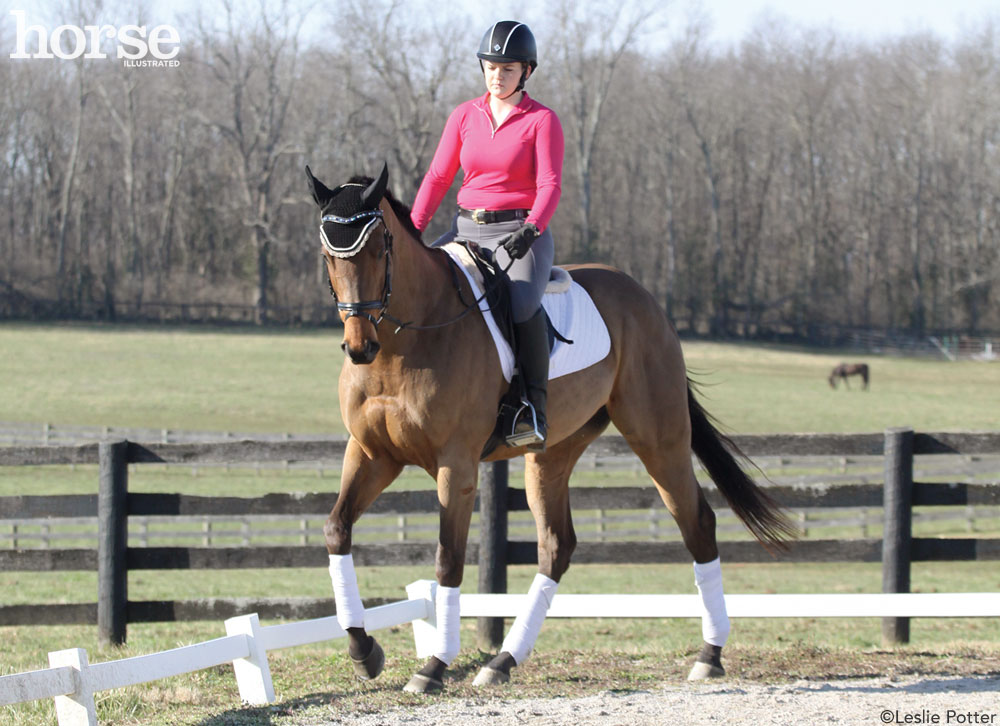 Dressage Square Turn