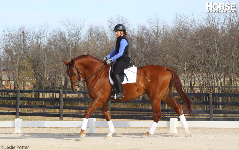 Dressage Exercises