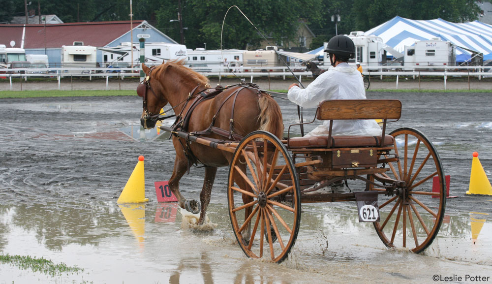 Carriage Driving