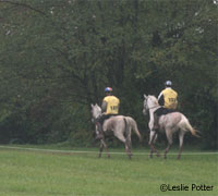 Endurance riders at last year's WEG test event