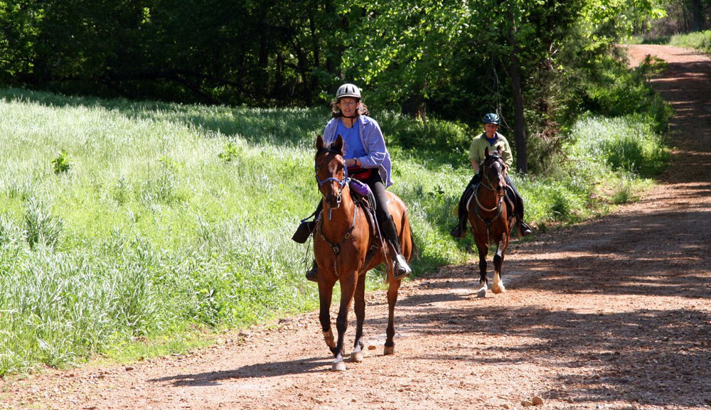 Trail Riding is often a way riders eventually become interested in the Green Bean Endurance Program.