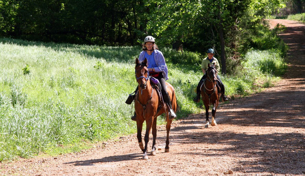 Trail Riding in Autumn Woods