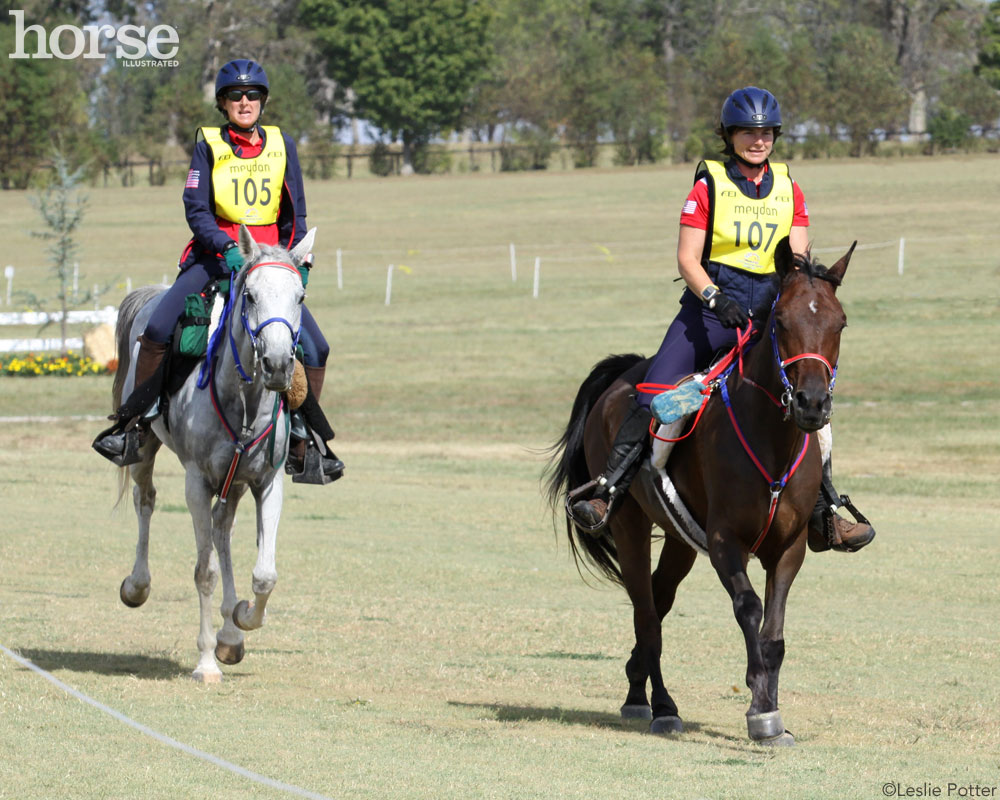 Endurance Riders