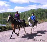 Endurance riders