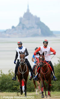 Endurance Riding