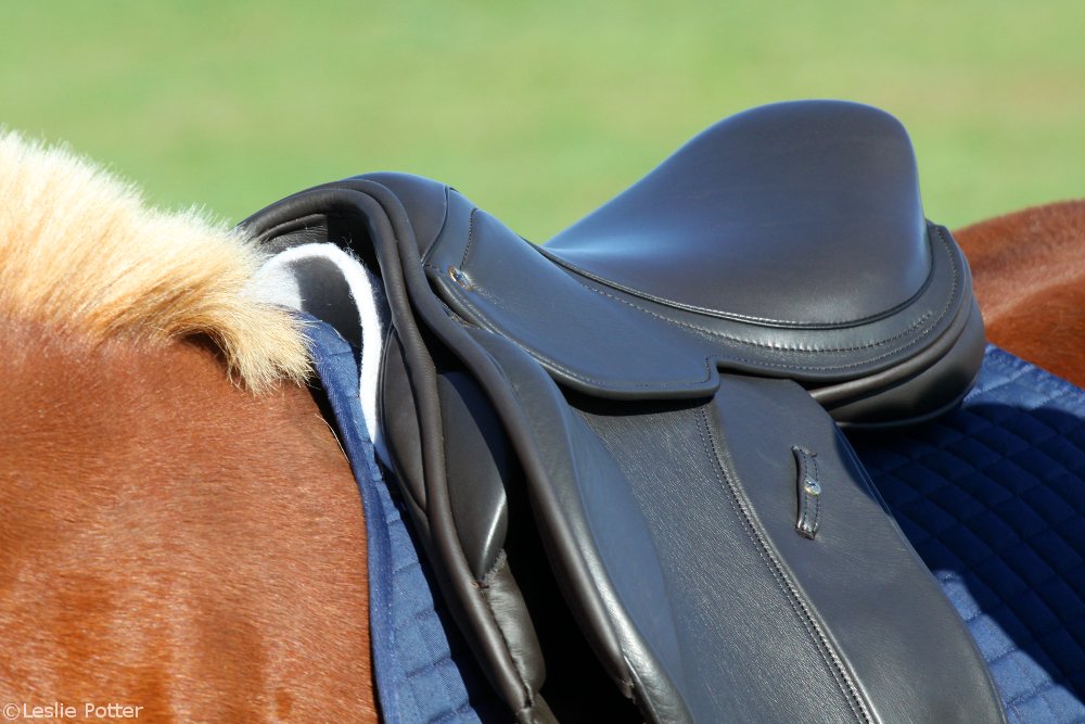 English Saddle Fitting