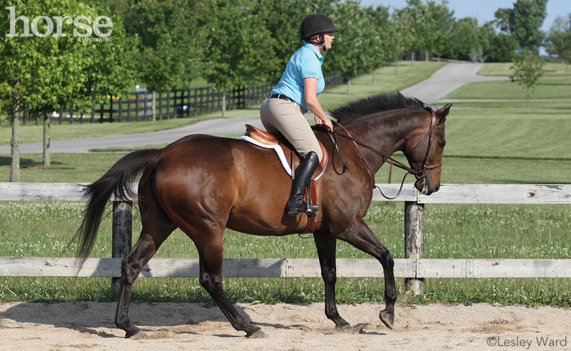 Riding a Horse