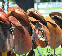 English saddles on consignment