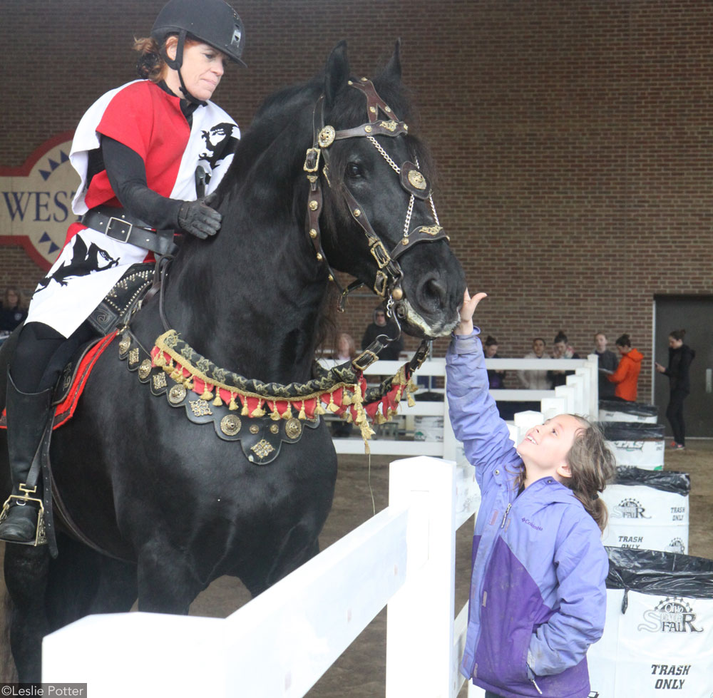 Equine Affaire