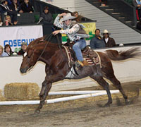 The Versatile Horse and Rider Competition is a part of the 3rd Equine Affaire